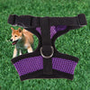 Harness without Pressure for Dogs