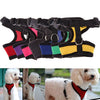 Harness without Pressure for Dogs